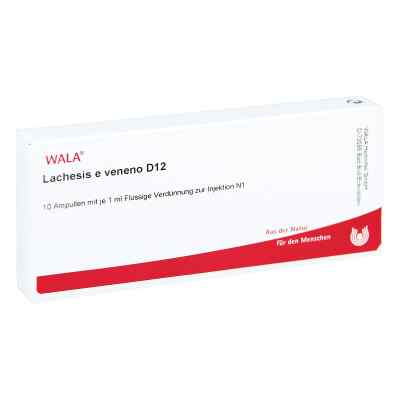 Lachesis E Veneno Gl D12 Ampullen 10X1 ml von WALA Heilmittel GmbH PZN 02884799