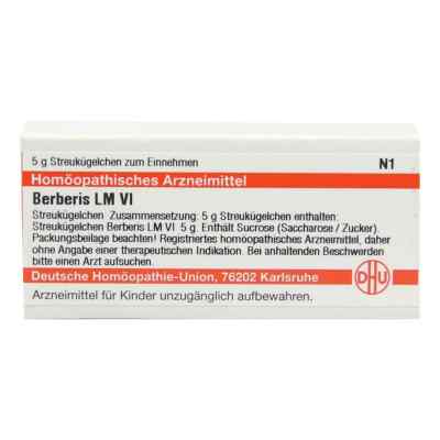 Lm Berberis Vi Globuli 5 g von DHU-Arzneimittel GmbH & Co. KG PZN 02658790