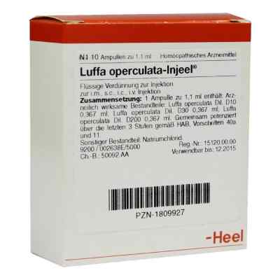 Luffa Operculata Injeel Ampullen 10 stk von Biologische Heilmittel Heel GmbH PZN 01809927