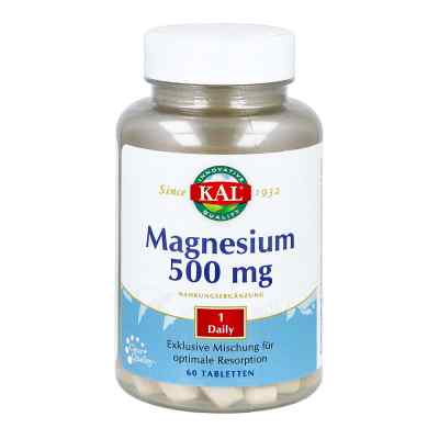 Magnesium 500 mg Tabletten 60 stk von Nutraceutical Corporation PZN 16865682