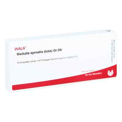 Medulla Spinalis Tota Gl D6 Ampullen 10X1 ml von WALA Heilmittel GmbH PZN 03356223