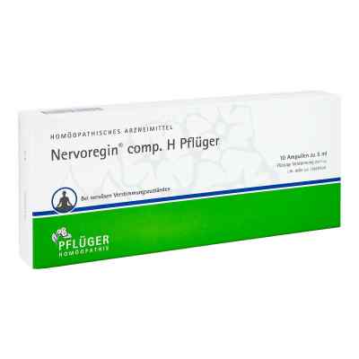 Nervoregin compositus H Pflüger Ampullen
