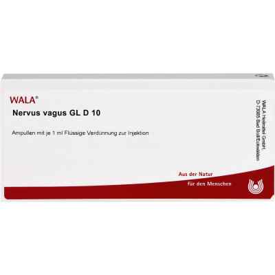 Nervus Vagus Gl D10 Ampullen