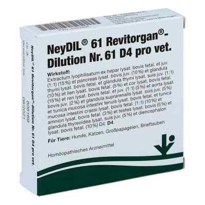 Neydil Nummer 6 1 Revitorgan Dilution d 4 pro veterinär Ampullen 5X2 ml von vitOrgan Arzneimittel GmbH PZN 06487888