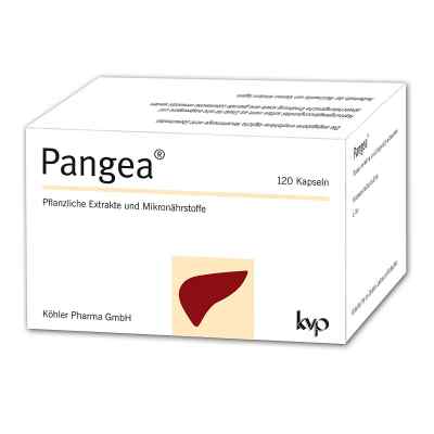 Pangea Kapseln 120 stk von Köhler Pharma GmbH PZN 16007518