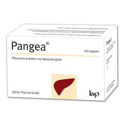 Pangea Kapseln 60 stk von Köhler Pharma GmbH PZN 16007501