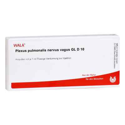 Plexus Pulmonalis Nervus Vagus Gl D10 Ampullen