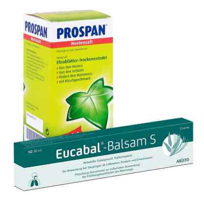 Prospan Hustensaft Eucabal Balsam S 1 Pck von  PZN 08101083