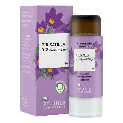 Pulsatilla D12 Globuli Pflüger