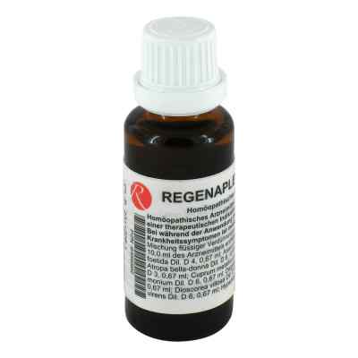 Regenaplex Nummer 1 d/l Tropfen 30 ml von REGENAPLEX GmbH PZN 06456592