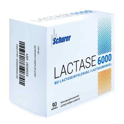Schurer Lactase 6000 Kapseln 90 stk von apo.com Group GmbH PZN 16528223