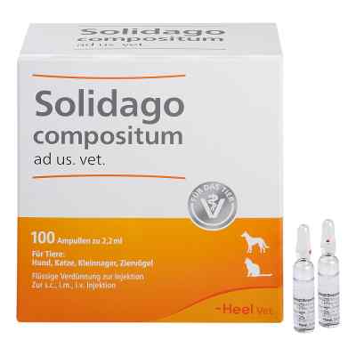 Solidago Compositum Ampullen ad usus veterinär 100 stk von Biologische Heilmittel Heel GmbH PZN 01224090