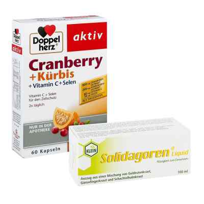 Solidagoren Liquid 100ml & Doppelherz Cranberry + Kürbis Kapseln
