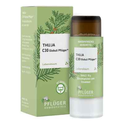 Thuja C30  Globuli Pflüger Dosierspender