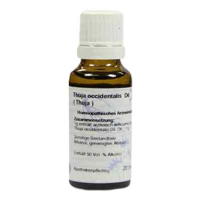 Thuja D6 Dilution